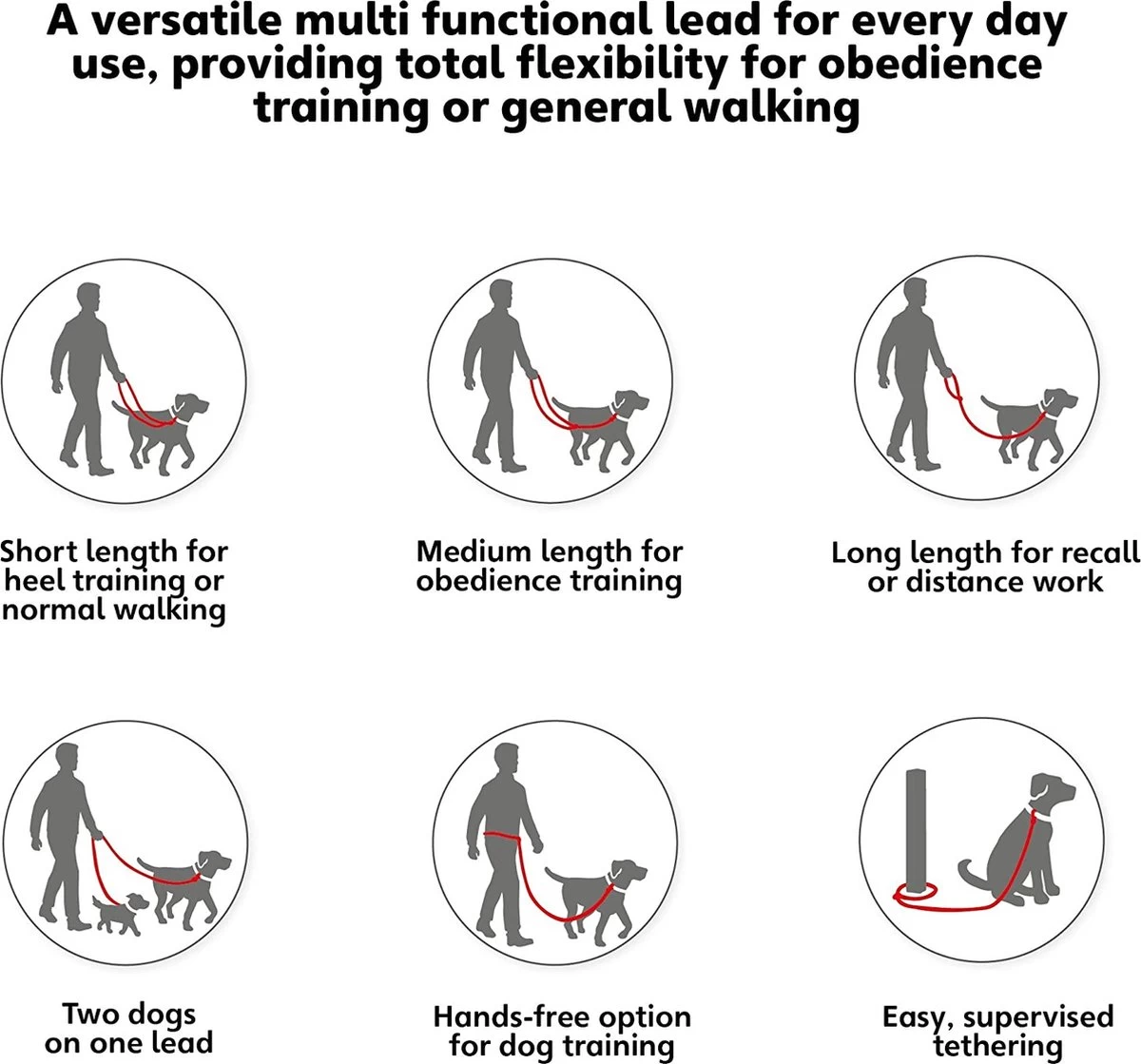 Company Of Animals Halti Trainingslijn - Large - 2 Meter - Verstelbaar - Zwart 9 Company Of Animals Halti Trainingslijn - Large - 2 Meter - Verstelbaar - Zwart - Afbeelding 7