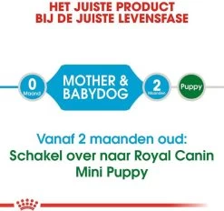 Royal Canin Mini Starter Mother & Babydog - Puppy-Hondenvoer - 8 Kg -Hondenbenodigdheden 1200x1128 6