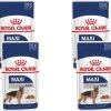 Royal Canin Shn Maxi Adult Pouch - Hondenvoer - 4 X 10 X 140 G 2 Royal Canin Shn Maxi Adult Pouch - Hondenvoer - 4 X 10 X 140 G -Hondenbenodigdheden 1200x1128 7