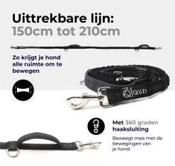 Canicross Looplijn Hond Met Heupriem Voor Hardlopen - Elastische Handsfree Hondenriem - Honden Trainingslijn - 150/210cm - Zwart 12 Canicross Looplijn Hond Met Heupriem Voor Hardlopen - Elastische Handsfree Hondenriem - Honden Trainingslijn - 150/210cm - Zwart -Hondenbenodigdheden 1200x1140 12