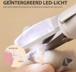 PETKIT® Professionele Dieren Nagelknipper - Nagelknipper Hond - Met LED - Met Vijl - Nageltang -Hondenbenodigdheden 1200x1143 9
