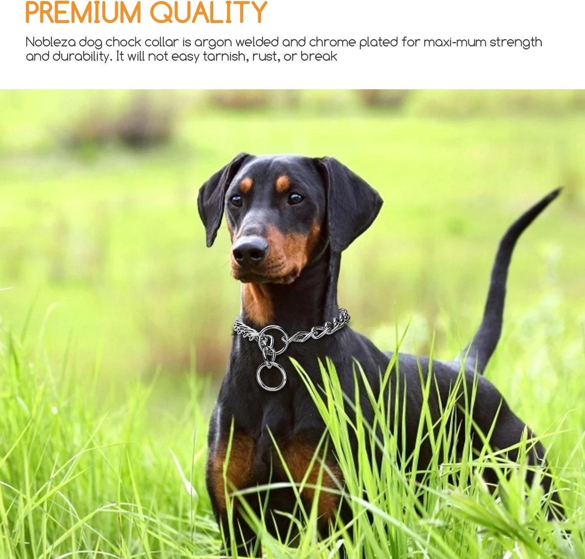 Nobleza Slipketting Hond - Sliphalsband - Trainingshalsband - Hondenketting - Maat L 5 Nobleza Slipketting Hond - Sliphalsband - Trainingshalsband - Hondenketting - Maat L - Afbeelding 3