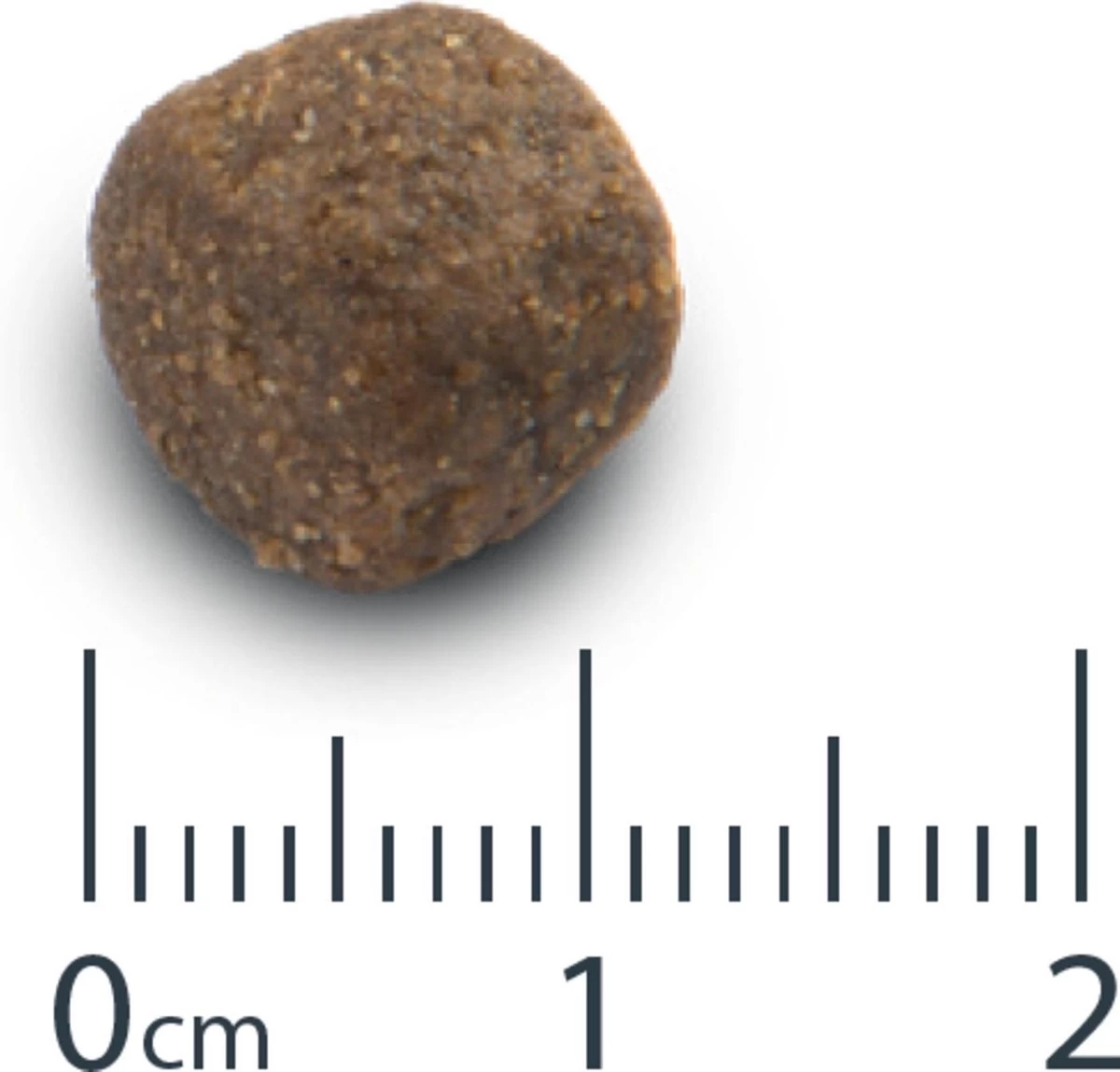 VERSELE-LAGA Opti Life Adult Digestion Medium & Maxi - 12,5 Kg 5 VERSELE-LAGA Opti Life Adult Digestion Medium & Maxi - 12,5 Kg - Afbeelding 3