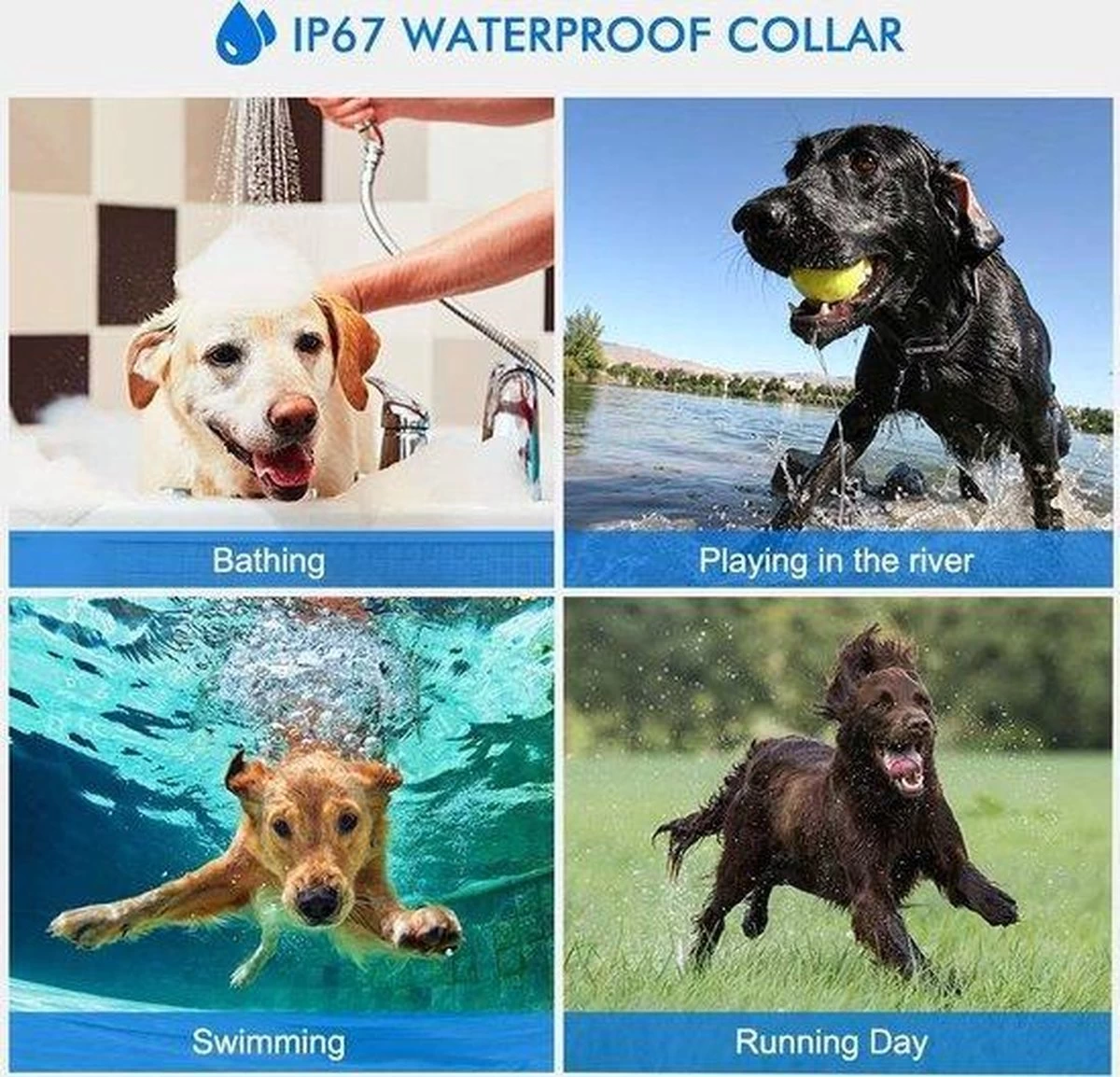 Anti Blafband EN Trainingshalsband In 1 - UNIEK SYSTEEM - 1000m Bereik - 100 Levels 13 Anti Blafband EN Trainingshalsband In 1 - UNIEK SYSTEEM - 1000m Bereik - 100 Levels - Afbeelding 11