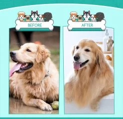 Nobleza 3 Delige Hondenborstel Set – Hondenkam - Kattenkam - Borstels – Dierverzorging - Dierenverzorging - Blauw -Hondenbenodigdheden 1200x1157