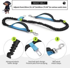 BOTC Looplijn Hond Met Heupriem Voor Hardlopen - Met Drinkbak Hond - Hondenriem - 1 Roll Poep Zakjes - Zwart 21 BOTC Looplijn Hond Met Heupriem Voor Hardlopen - Met Drinkbak Hond - Hondenriem - 1 Roll Poep Zakjes - Zwart -Hondenbenodigdheden 1200x1159 11