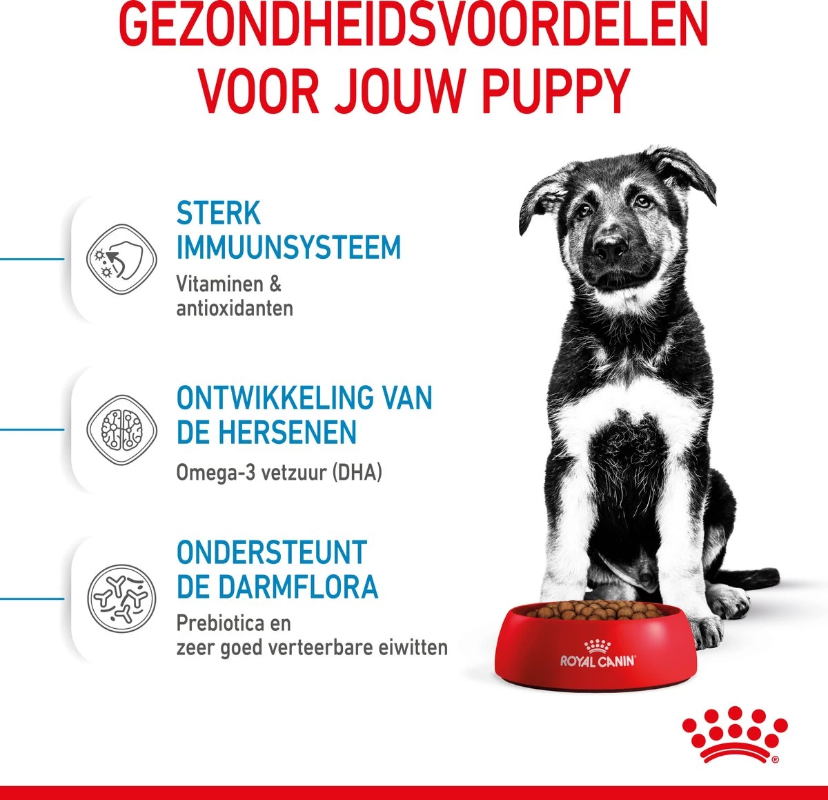 Royal Canin Maxi Puppy - Hondenvoer - 15 Kg 6 Royal Canin Maxi Puppy - Hondenvoer - 15 Kg - Afbeelding 4