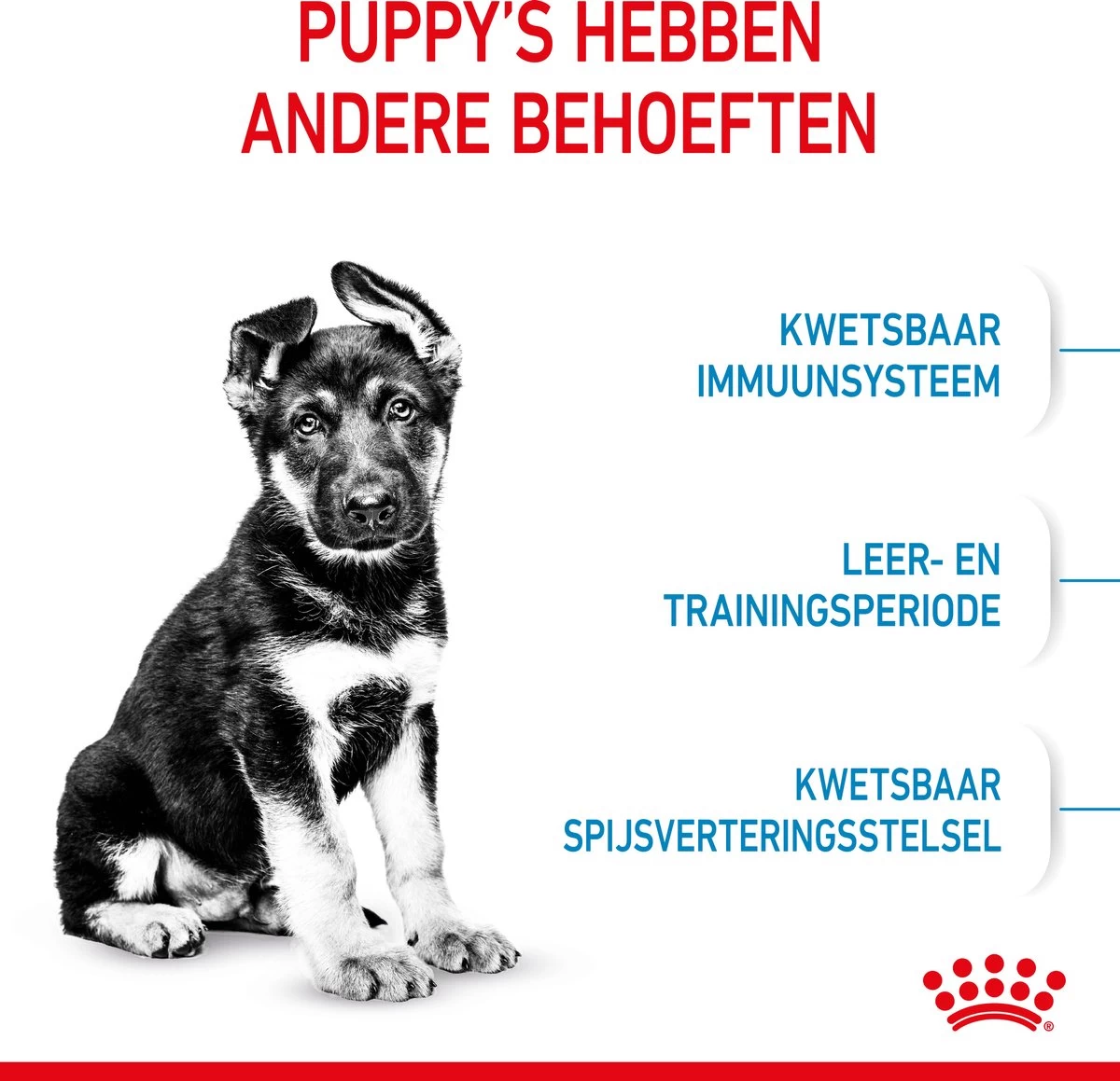Royal Canin Maxi Puppy - Hondenvoer - 15 Kg 8 Royal Canin Maxi Puppy - Hondenvoer - 15 Kg - Afbeelding 6