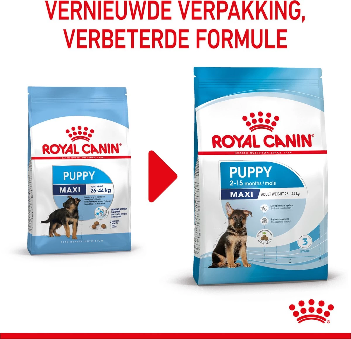 Royal Canin Maxi Puppy - Hondenvoer - 15 Kg 17 Royal Canin Maxi Puppy - Hondenvoer - 15 Kg - Afbeelding 15
