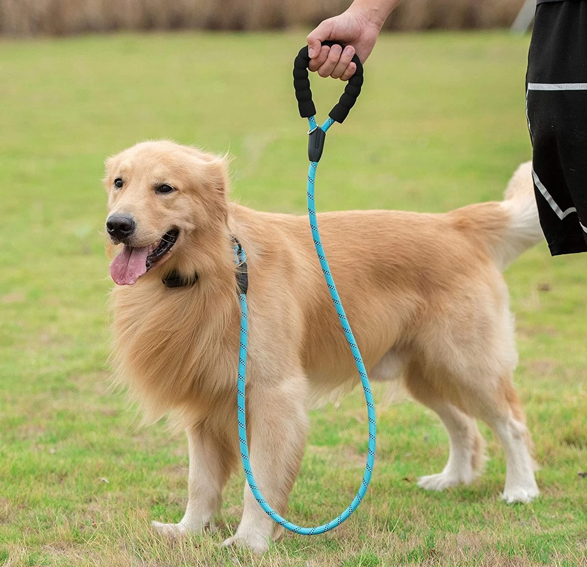 Comfortabele Hondenriem Met Gevoerd Handvat – Stevige Nylon Hondenlijn – Riem Voor Honden 7 Comfortabele Hondenriem Met Gevoerd Handvat – Stevige Nylon Hondenlijn – Riem Voor Honden - Afbeelding 5
