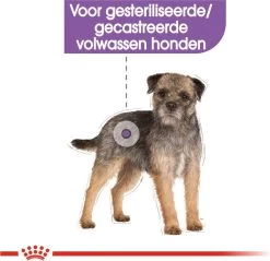 Royal Canin Ccn Sterilised Wet - Hondenvoer - 12x85 G 11 Royal Canin Ccn Sterilised Wet - Hondenvoer - 12x85 G -Hondenbenodigdheden 1200x1160 3