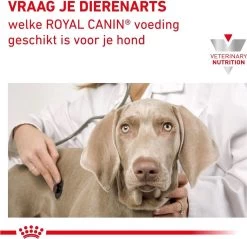 Royal Canin Gastro Intestinal Moderate Calorie - Hondenvoer - 2 Kg -Hondenbenodigdheden 1200x1161 12
