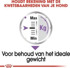 Royal Canin Ccn Sterilised Wet - Hondenvoer - 12x85 G 13 Royal Canin Ccn Sterilised Wet - Hondenvoer - 12x85 G -Hondenbenodigdheden 1200x1161 13