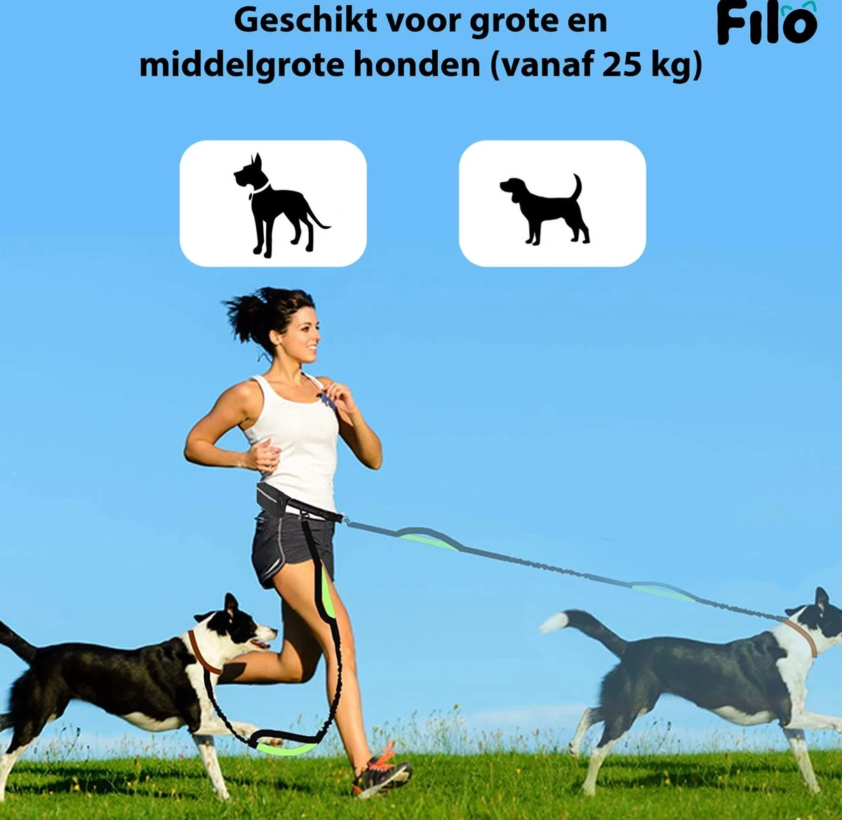 Filo Elastische Hondenriem Groot - Hardlopen En Wandelen - Hardloopriem Hond Handsfree Met Heuptasje - Looplijn Met Heupriem - Canicross Gordel Honden - Riemen - Heupgordel - Leiband 4 Filo Elastische Hondenriem Groot - Hardlopen En Wandelen - Hardloopriem Hond Handsfree Met Heuptasje - Looplijn Met Heupriem - Canicross Gordel Honden - Riemen - Heupgordel - Leiband - Afbeelding 2