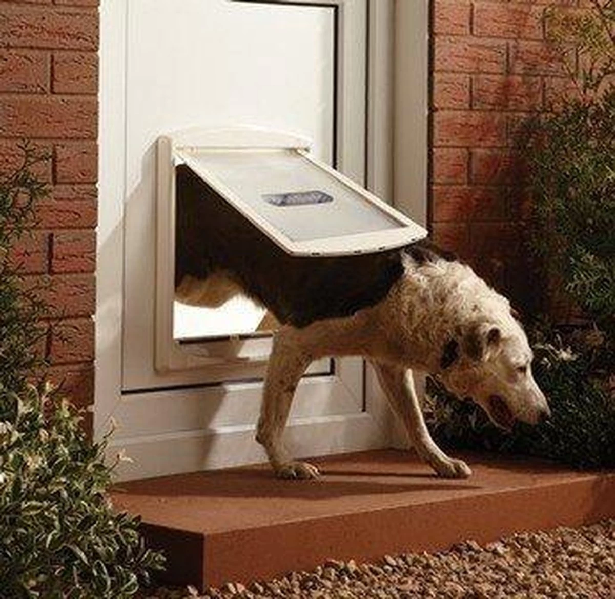 Petsafe 760 Hondenluik - L - Wit - 37 X 31,4 Cm 9 Petsafe 760 Hondenluik - L - Wit - 37 X 31,4 Cm - Afbeelding 7