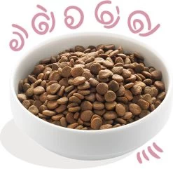 Edgard & Cooper Verse Scharreleend & Kip Puppy - Hondenvoer - 7kg 20 Edgard & Cooper Verse Scharreleend & Kip Puppy - Hondenvoer - 7kg -Hondenbenodigdheden 1200x1169 5