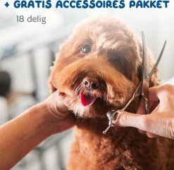 Pawwy Dieren Tondeuse Set Draadloos Voor Honden En Katten – Voor Dikke Vacht - Hondentondeuse – Hondentrimmer - Scheerapparaat - Goud 22 Pawwy Dieren Tondeuse Set Draadloos Voor Honden En Katten – Voor Dikke Vacht - Hondentondeuse – Hondentrimmer - Scheerapparaat - Goud -Hondenbenodigdheden 1200x1170 1