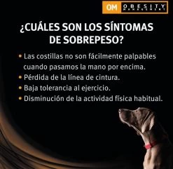 Purina Pro Plan Veterinary Diets Canine OM Obesity Management Hondenvoer 12 Kg -Hondenbenodigdheden 1200x1171 8