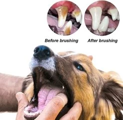 Doodadeals® 4 Stuks Siliconen Honden Tandenborstel - Tanden Borstel Hond - Silicone Dog Tootbrush - Multikleur 10 Doodadeals® 4 Stuks Siliconen Honden Tandenborstel - Tanden Borstel Hond - Silicone Dog Tootbrush - Multikleur -Hondenbenodigdheden 1200x1175 9