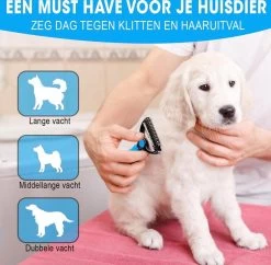 Professionele Ondervacht Kam Voor Hond En Kat S – Hondenborstel – Kattenborstel - Hondenkam –Anti Klit - Haarverwijderaar Voor Huisdieren - Pijnloos - Huisdiervriendelijk – Klittenkam - Voorkomt Haaruitval - Kleine Variant- Black Friday - Sinterklaas 10 Professionele Ondervacht Kam Voor Hond En Kat S – Hondenborstel – Kattenborstel - Hondenkam –Anti Klit - Haarverwijderaar Voor Huisdieren - Pijnloos - Huisdiervriendelijk – Klittenkam - Voorkomt Haaruitval - Kleine Variant- Black Friday - Sinterklaas -Hondenbenodigdheden 1200x1178 5