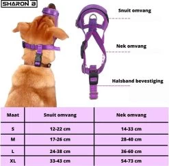 Sharon-B Muilkorf Turquoise Maat S - Fleece - Reflecterend - Kleine Hond 13 Sharon-B Muilkorf Turquoise Maat S - Fleece - Reflecterend - Kleine Hond -Hondenbenodigdheden 1200x1179 7