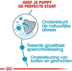 Royal Canin Giant Junior 15 KG 21 Royal Canin Giant Junior 15 KG -Hondenbenodigdheden 1200x1180 8