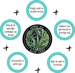 Greenfields Vacht Verzorging Set Voor Honden Shampoo, Conditioner & Droogshampoo 13 Greenfields Vacht Verzorging Set Voor Honden Shampoo, Conditioner & Droogshampoo -Hondenbenodigdheden 1200x1182 2