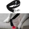Merkloos Auto Veiligheidsgordel - Hondengordel - 2.5 Cm 2 Merkloos Auto Veiligheidsgordel - Hondengordel - 2.5 Cm -Hondenbenodigdheden 1200x1186 10