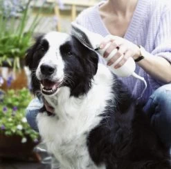 Merkloos HondenFöhn En Borstel - RVS Borstel - Huisdieren - 2 In 1 Hondenföhn -Hondenbenodigdheden 1200x1190 3