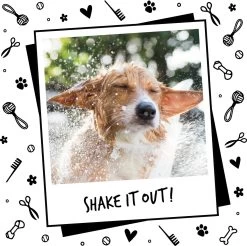 Bugalugs - Hondenshampoo - One In A Million - Alle Vachttypes - Fles Met Pompje - Vegan - 500 Ml 18 Bugalugs - Hondenshampoo - One In A Million - Alle Vachttypes - Fles Met Pompje - Vegan - 500 Ml -Hondenbenodigdheden 1200x1197 7