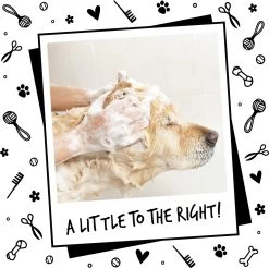 Bugalugs - Hondenshampoo - One In A Million - Alle Vachttypes - Fles Met Pompje - Vegan - 500 Ml 23 Bugalugs - Hondenshampoo - One In A Million - Alle Vachttypes - Fles Met Pompje - Vegan - 500 Ml -Hondenbenodigdheden 1200x1197 9