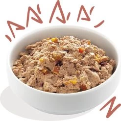 11x Edgard & Cooper Kuipje Vers Vlees Senior Hondenvoer Kip - Zalm 150 Gr -Hondenbenodigdheden 1200x1198 23