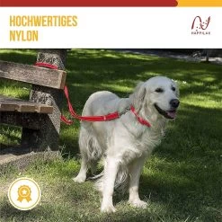 Happilax Dog Leash 2m Adjustable - Red / Reflective - 3-Step Adjustable Leash - Double Leash, Tug Leash - Geschikt Als Hondenriem Voor Grote Honden Of Als Sleepriem Voor Kleine Honden. 13 Happilax Dog Leash 2m Adjustable - Red / Reflective - 3-Step Adjustable Leash - Double Leash, Tug Leash - Geschikt Als Hondenriem Voor Grote Honden Of Als Sleepriem Voor Kleine Honden. -Hondenbenodigdheden 1200x1199 12