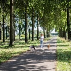 Rebel Petz - Dubbele Verstelbare Hondenriem Voor Twee Honden - Met Draaibare Sluiting En Zacht Handvat - Small En Large - Large (140 Cm Lang, Ø 12 Mm) -Hondenbenodigdheden 1200x1199 8