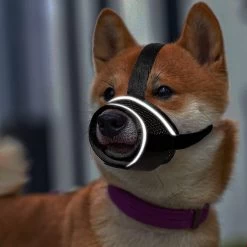 Merkloos Hoog Kwaliteit Muilkorf Met Bedrukt Patroon - Muilkorf Hond - Hondensnuit - Anti Blaf En Bijt - Voor Kleine En Grote Honden Maat M Zwart Reflecterend -Hondenbenodigdheden 1200x1200 1017