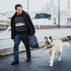 Merkloos Hoog Kwaliteit Muilkorf Met Bedrukt Patroon - Muilkorf Hond - Hondensnuit - Anti Blaf En Bijt - Voor Kleine En Grote Honden Maat M Zwart Reflecterend -Hondenbenodigdheden 1200x1200 1018