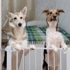 Nobleza 47B4V - Hondenhek - Metaal - H76 X L75-82 Cm - Wit 14 Nobleza 47B4V - Hondenhek - Metaal - H76 X L75-82 Cm - Wit -Hondenbenodigdheden 1200x1200 1063