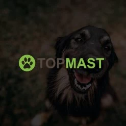 Merkloos Topmast Premium Puppyren - 120 Cm Hoog - 640 Cm Omtrek - Hondenren - Hondenhok - Zwart -Hondenbenodigdheden 1200x1200 1180