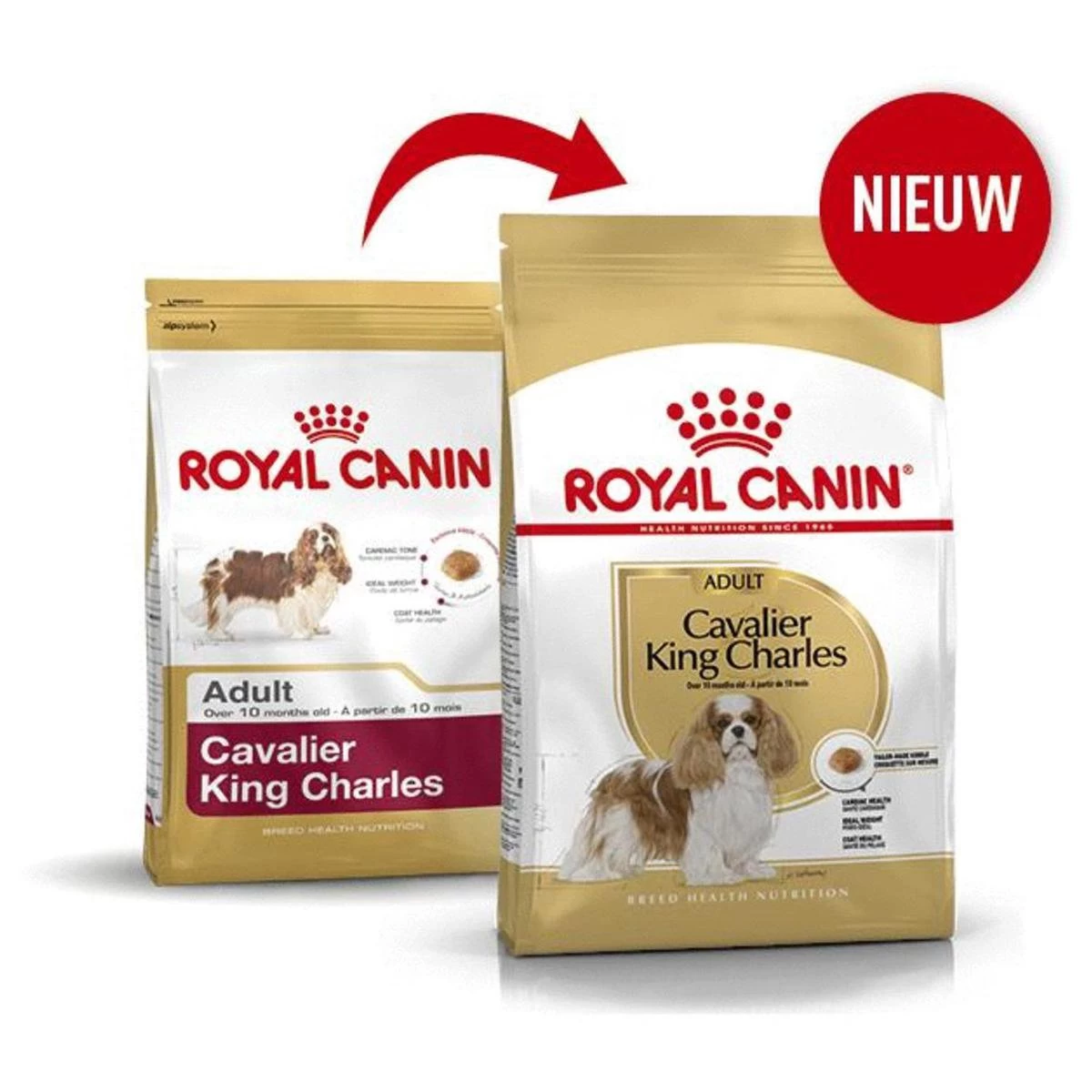 Royal Canin Cavalier King Charles Adult - Hondenvoer - 7,5 Kg 6 Royal Canin Cavalier King Charles Adult - Hondenvoer - 7,5 Kg - Afbeelding 4