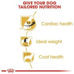 Royal Canin Cavalier King Charles Adult - Hondenvoer - 7,5 Kg 19 Royal Canin Cavalier King Charles Adult - Hondenvoer - 7,5 Kg -Hondenbenodigdheden 1200x1200 1219