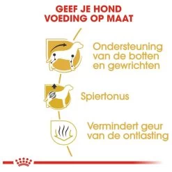 Royal Canin Dachshund/Teckel Adult 7.5 KG -Hondenbenodigdheden 1200x1200 1226