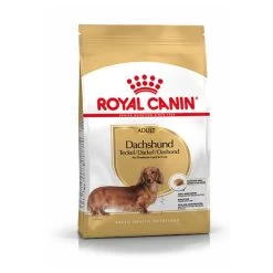 Royal Canin Dachshund/Teckel Adult 7.5 KG -Hondenbenodigdheden 1200x1200 1229