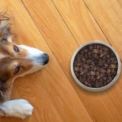 Topdiervoeding Lamslong Hondensnacks - Vers Gedroogd - Knapperig - 1 KG 10 Topdiervoeding Lamslong Hondensnacks - Vers Gedroogd - Knapperig - 1 KG -Hondenbenodigdheden 1200x1200 1259