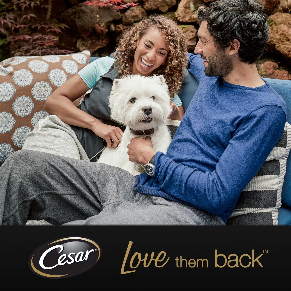 Cesar Primeur Paté Honden Natvoer - Kalf & Worteltjes - 10 X 300 Gr 5 Cesar Primeur Paté Honden Natvoer - Kalf & Worteltjes - 10 X 300 Gr - Afbeelding 3