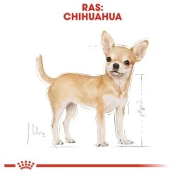Royal Canin Chihuahua Pouch (12X85 GR) 15 Royal Canin Chihuahua Pouch (12X85 GR) -Hondenbenodigdheden 1200x1200 1279