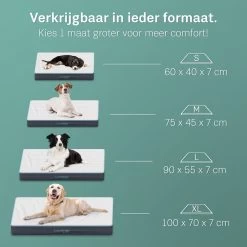 Hondenbenodigdheden 9 Hondenbenodigdheden -Hondenbenodigdheden 1200x1200 1312