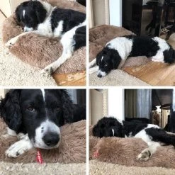 Snoozle Donut Hondenmand - Zacht En Luxe Hondenkussen - Wasbaar - Fluffy - Hondenmanden - 80cm - Creme Bruin -Hondenbenodigdheden 1200x1200 1402