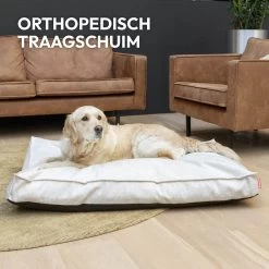 Snoozle Orthopedische Hondenmand - Zacht En Luxe Hondenkussen - Hondenbed - Wasbaar - Hondenmanden - 100 X 70 Cm - Stormy Grey 17 Snoozle Orthopedische Hondenmand - Zacht En Luxe Hondenkussen - Hondenbed - Wasbaar - Hondenmanden - 100 X 70 Cm - Stormy Grey -Hondenbenodigdheden 1200x1200 1432