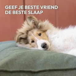 Snoozle Orthopedische Hondenmand - Zacht En Luxe Hondenkussen - Hondenbed - Wasbaar - Hondenmanden - 100 X 70 Cm - Stormy Grey 21 Snoozle Orthopedische Hondenmand - Zacht En Luxe Hondenkussen - Hondenbed - Wasbaar - Hondenmanden - 100 X 70 Cm - Stormy Grey -Hondenbenodigdheden 1200x1200 1436