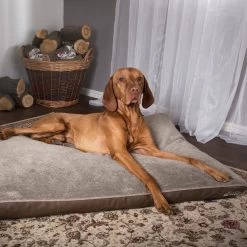 Scruffs Chateau - Hondenbed Orthopedisch Met Memory Foam Voor Extra Steun Voor Rug En Gewrichten - Grijs & Bruin Maat M/L - Kleur: Grijs, Maat: Large 23 Scruffs Chateau - Hondenbed Orthopedisch Met Memory Foam Voor Extra Steun Voor Rug En Gewrichten - Grijs & Bruin Maat M/L - Kleur: Grijs, Maat: Large -Hondenbenodigdheden 1200x1200 1437